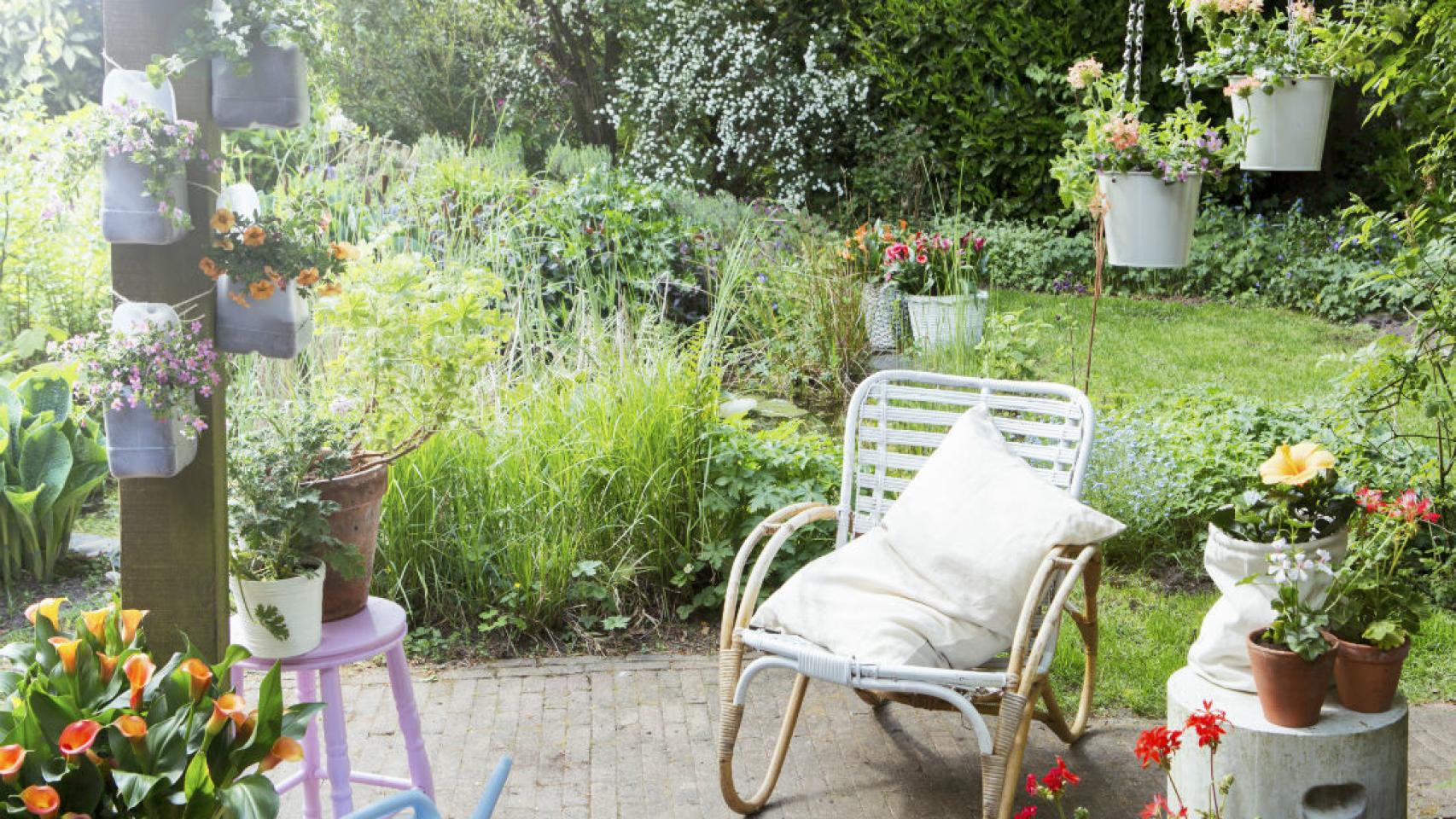 Un jardín repleto de plantas y flores. /