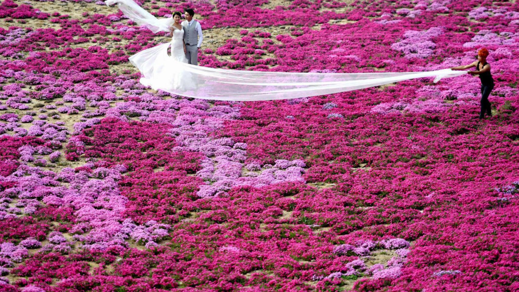 Una pareja china posa para su foto de boda en el parque Luoyang. /