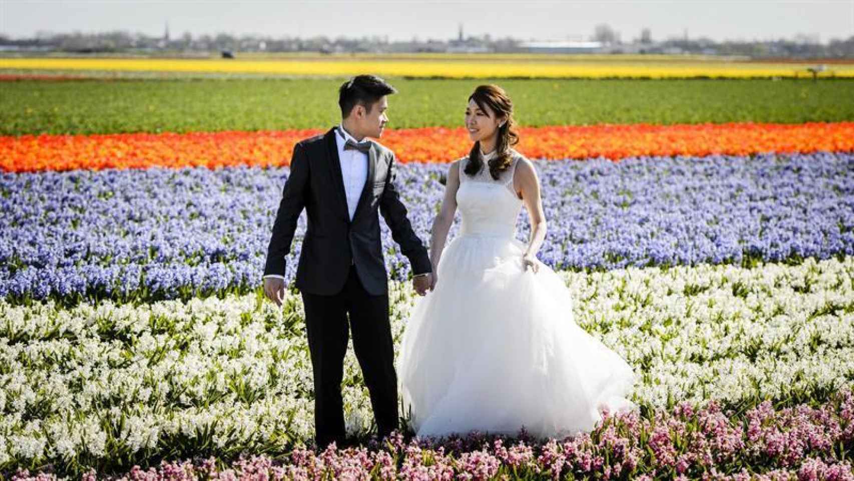 Una pareja de recién casados pasea por el parque floral 'Keukenhof', en Holanda. /
