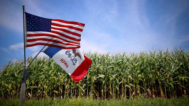 Plantación de maíz transgénico en DeWitt, Iowa, EEUU.