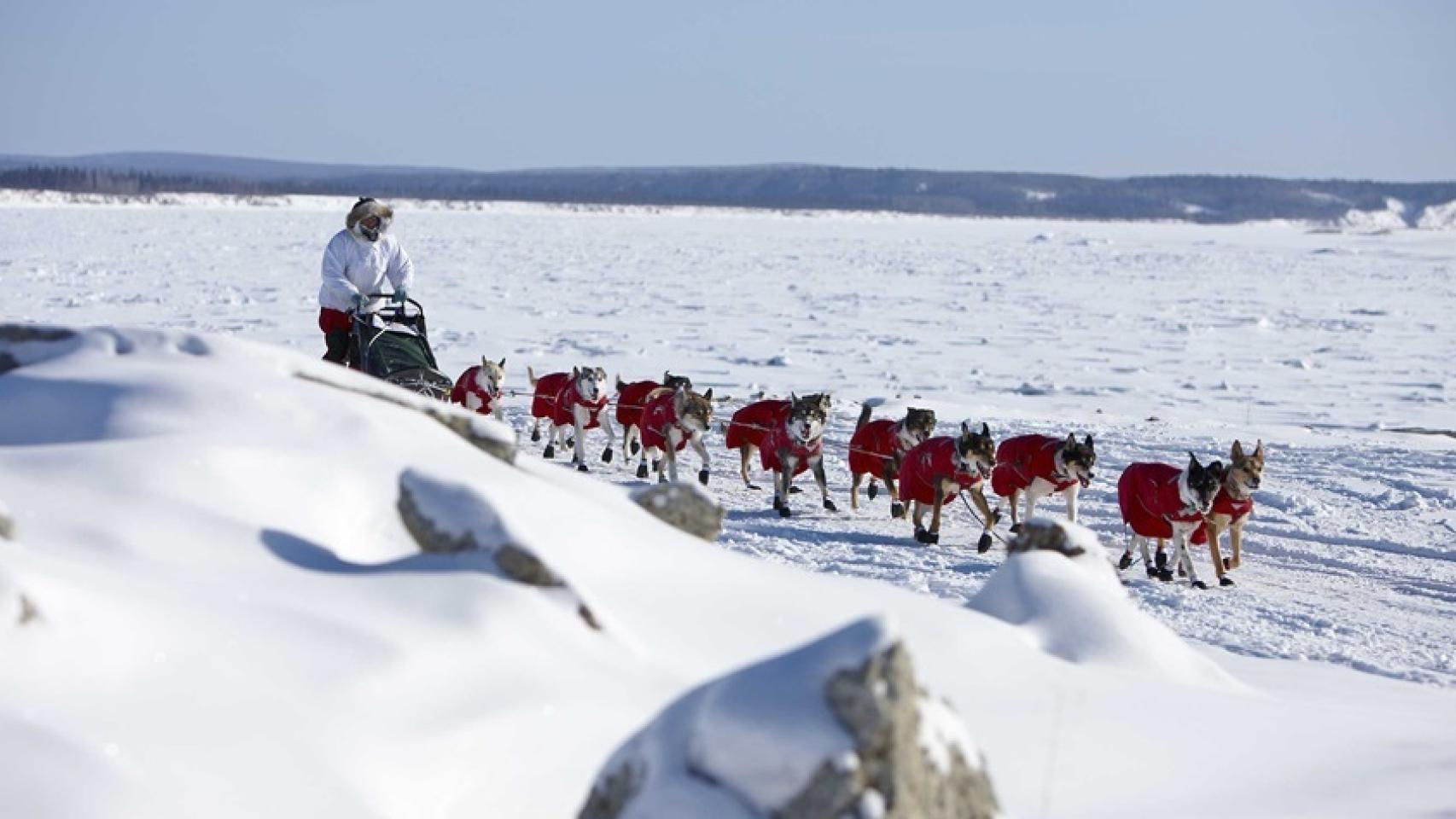 Iditarod Race, la carrera de trineos de perros que se celebra anualmente en Alaska.