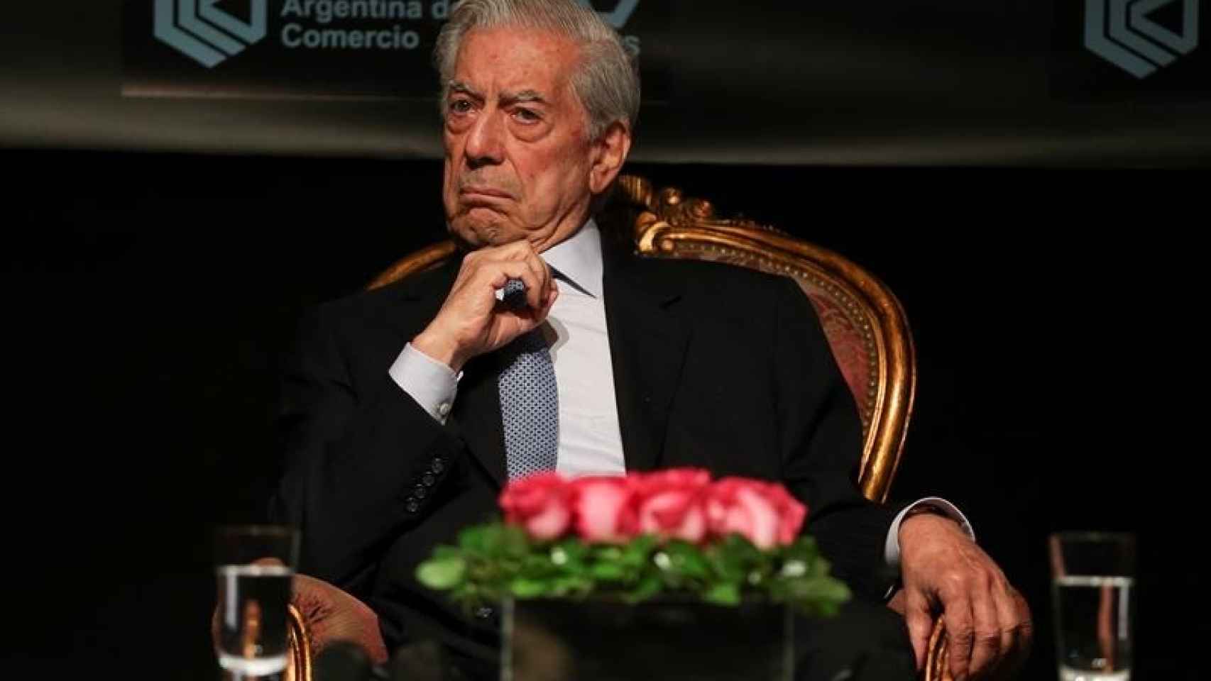 El premio Nobel de Literatura, el peruano Mario Vargas Llosa/David Fernández/EFE