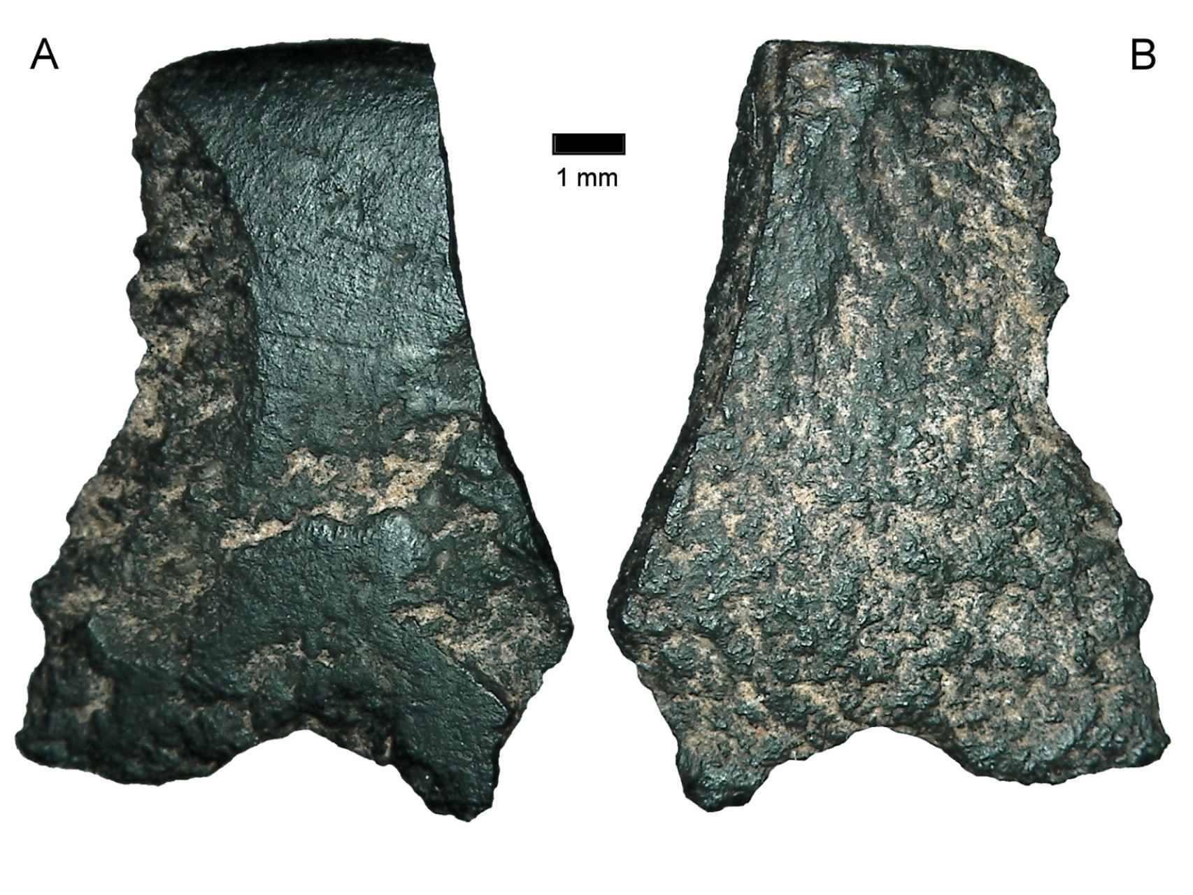 Los fragmentos de basalto hallados en Kimberley, Australia.