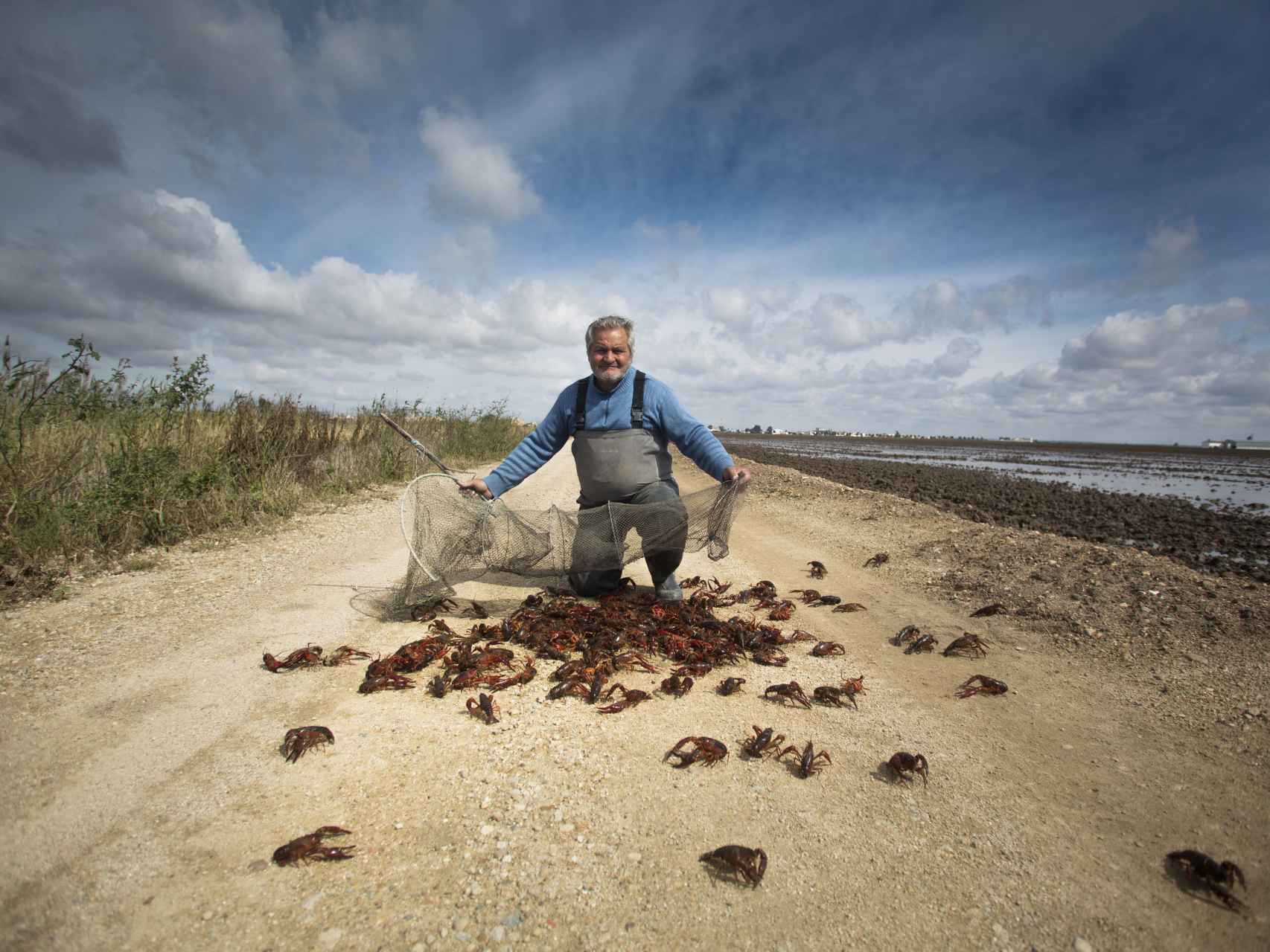 Un pescador de Isla Mayor muestra decenas de cangrejos capturados.