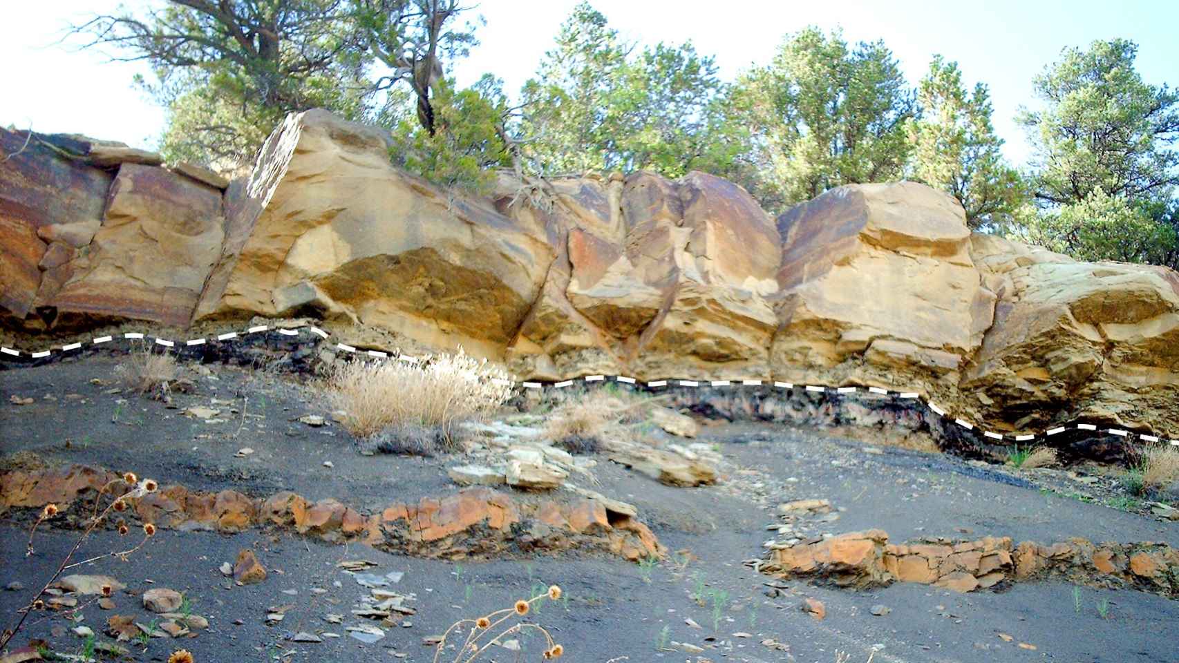 Límite K-Pg, el estrato de roca que corresponde al momento geológico de la extinción.