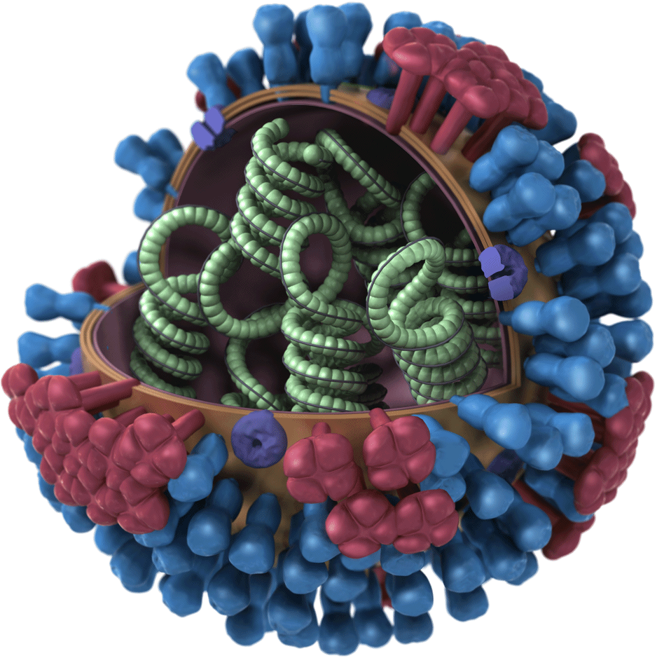 virus_influenza