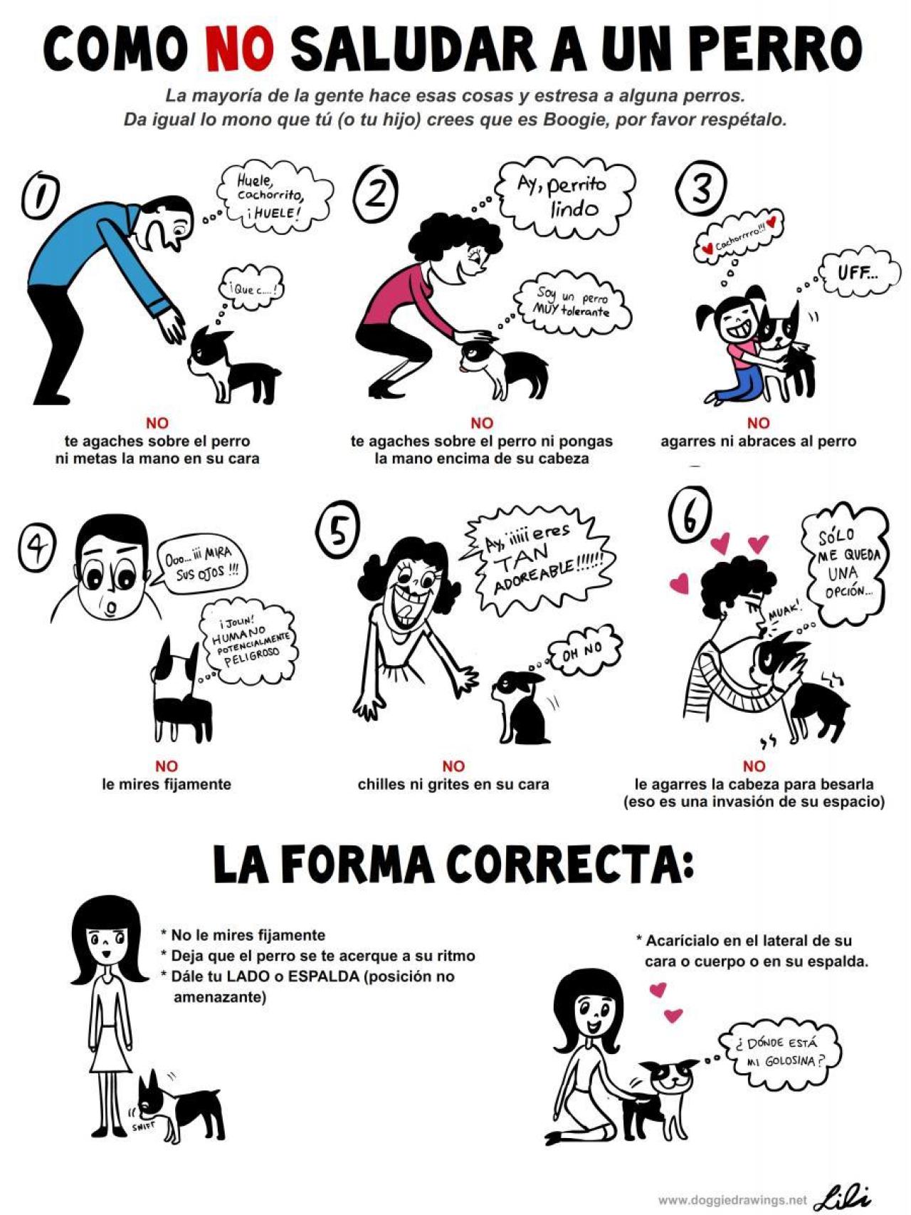 Cómo NO saludar a un perro. /