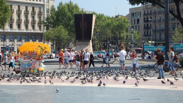 Palomas en la Plaza Cataluña de Barcelona.