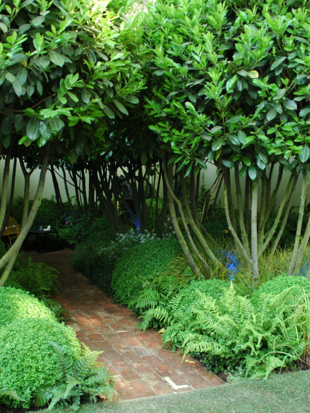 Puedes crear la sombra generando un bosque de arbustos altos. /