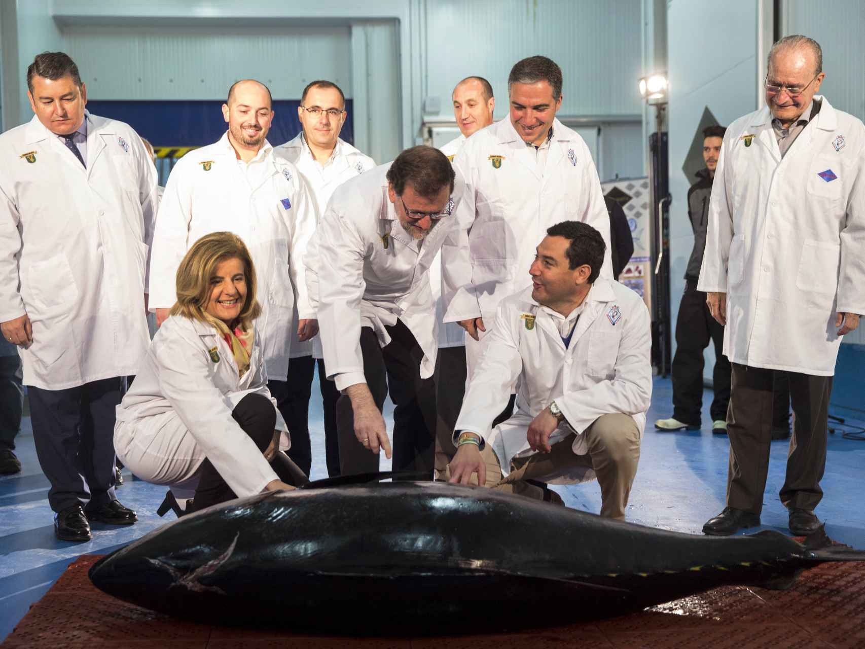 Báñez y Rajoy observan el ronqueo de un atún en Málaga.
