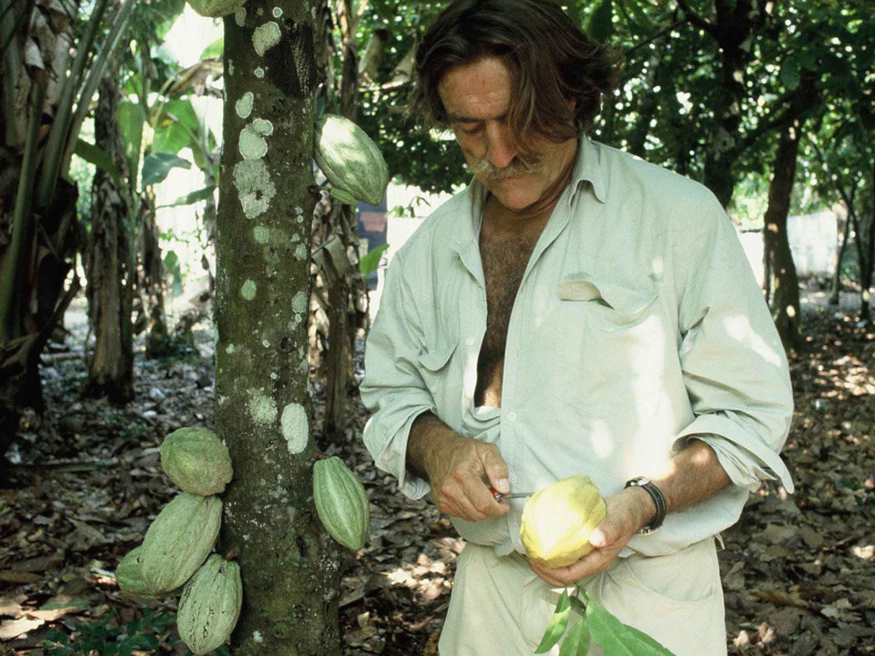 El aventurero pelando unos cocos