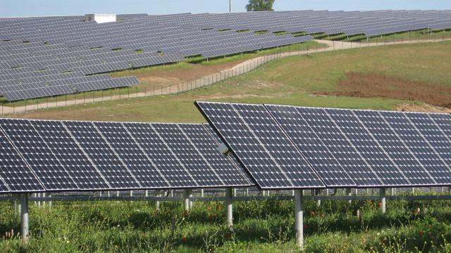 Paneles solares en Serpa, en el Alentejo portugués.