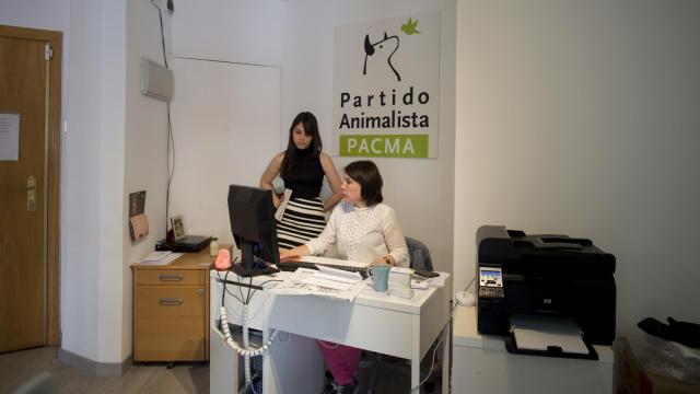 Sede del partido animalista Pacma.