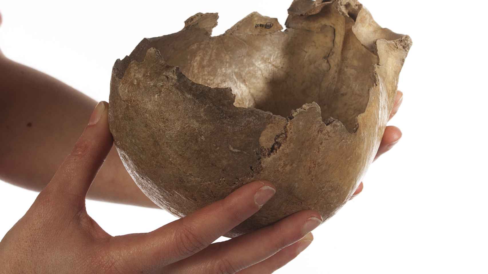 Copa-cráneo de la cueva de Gough