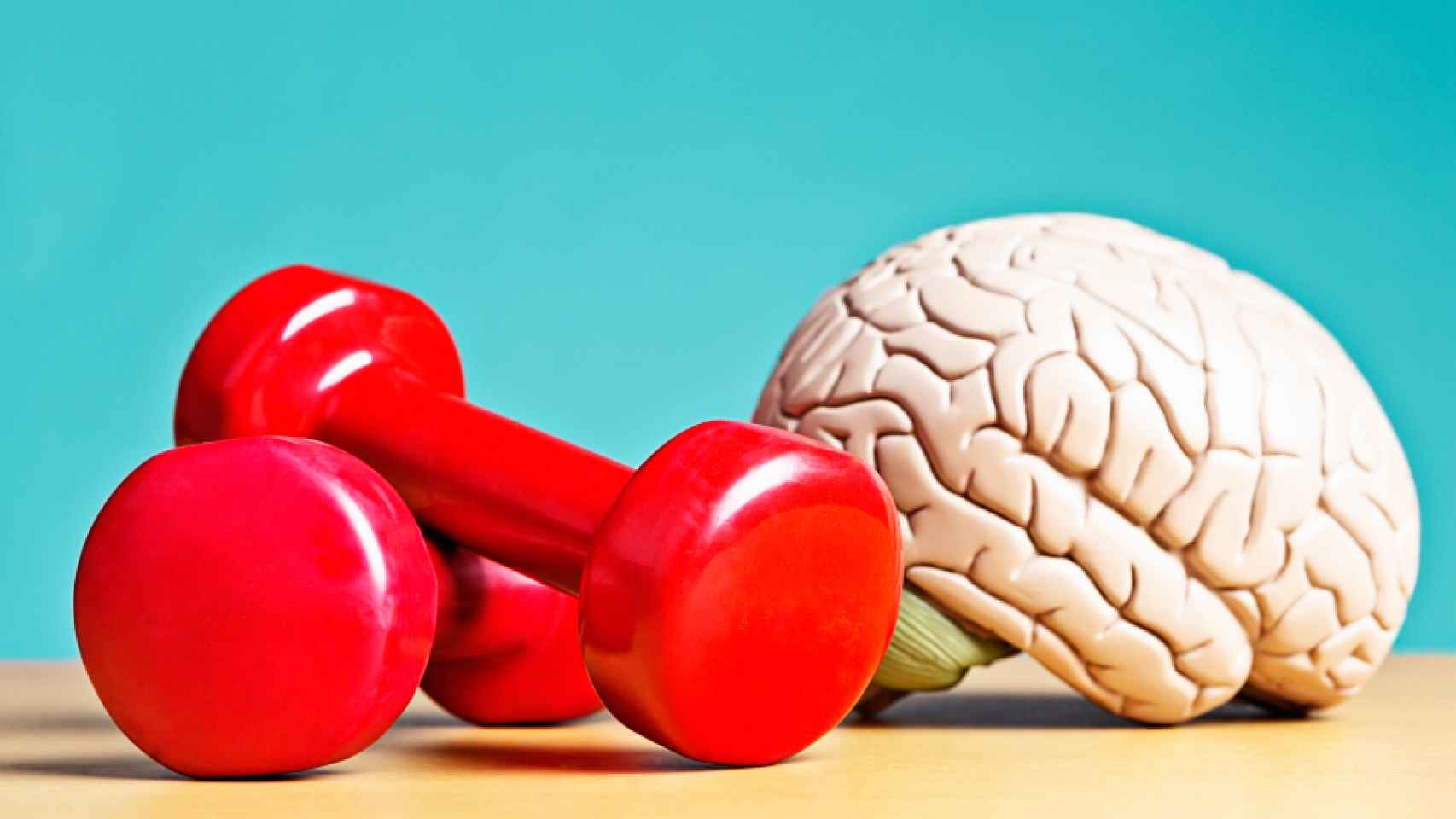 Al igual que el ejercicio físico, también es importante entrenar el cerebro