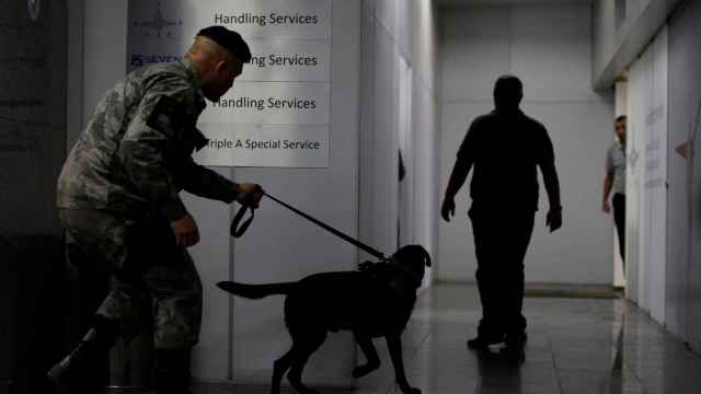 Soldier of the military police battalion and his dog take part in an instructional exercise with officers of an elite unit of the French police, who is responsible for anti-terrorist actions in France, in Rio de Janeiro