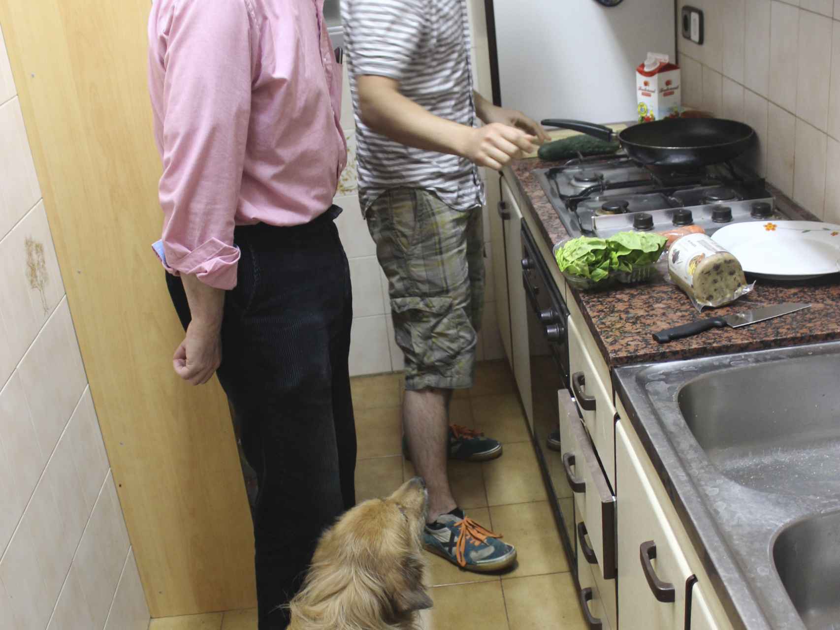 Josué prepara comida vegana ante la atenta mirada de Pedro.