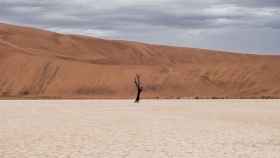 desierto2