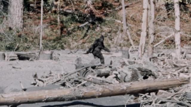 Fotograma del BigFoot en el vídeo Patterson-Gimlin.