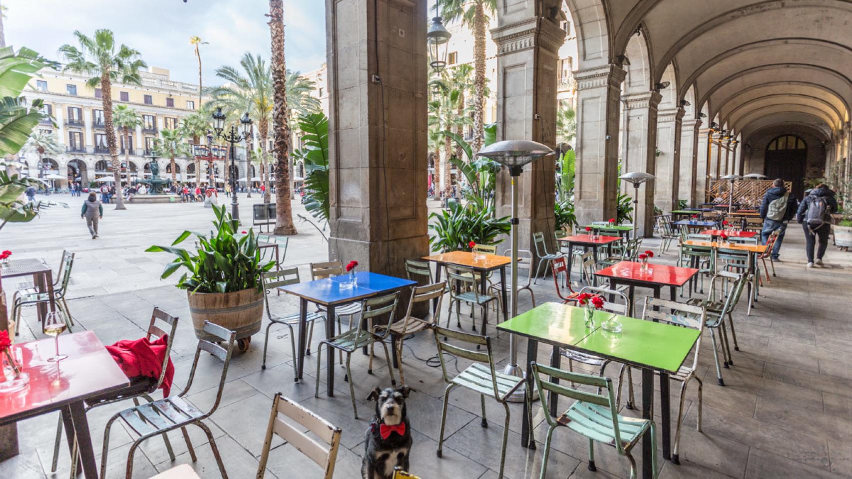 La terraza de Ocaña. / Sr. Perro