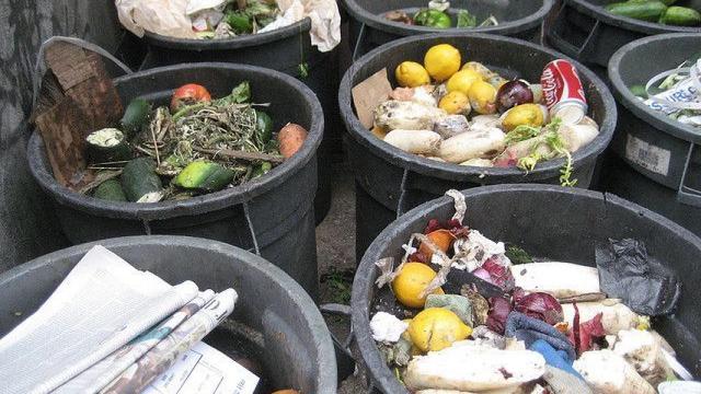 Cada día, se tiran toneladas de alimentos.