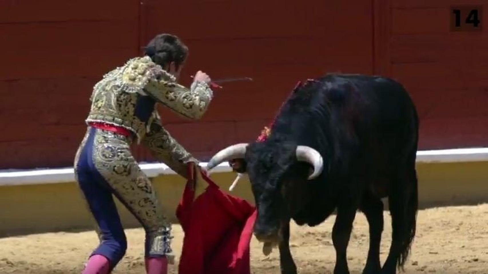 Imagen difundida en el vídeo de PACMA.