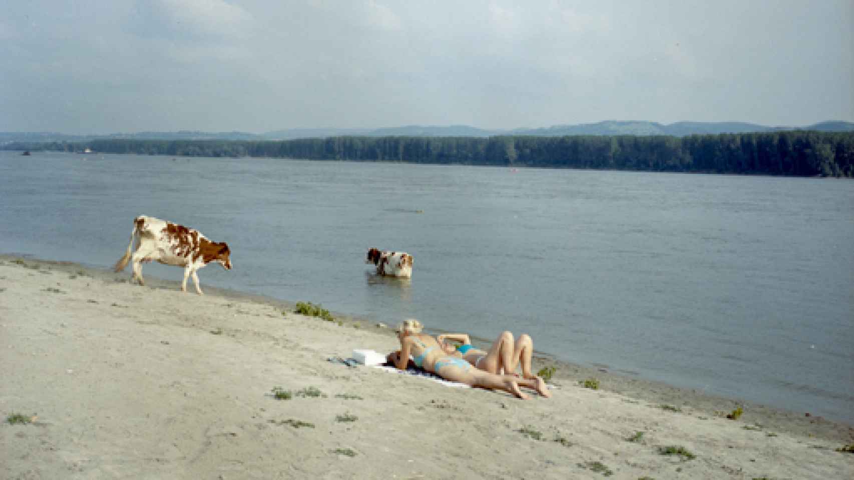 Image: Verano en el Danubio