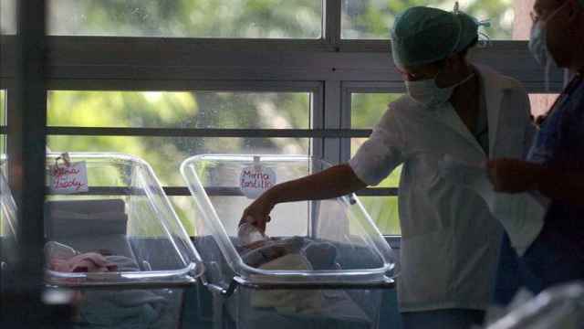 Varios bebés en una sala de maternidad hospitalaria.
