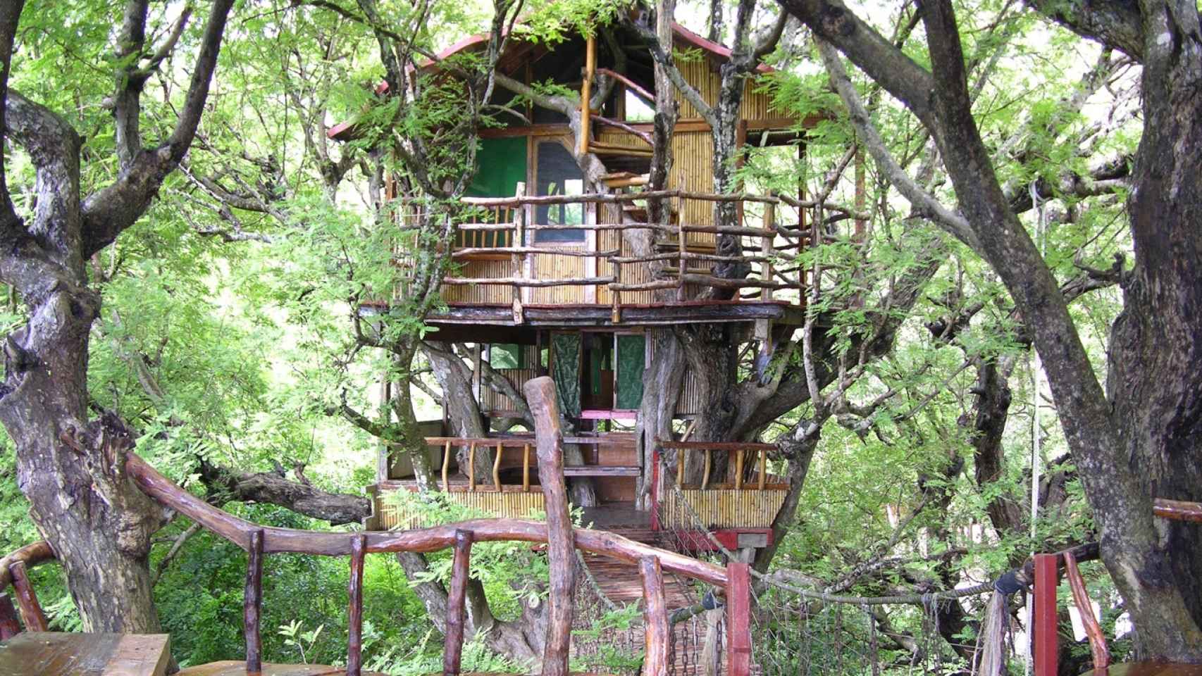 Nashan Tree House