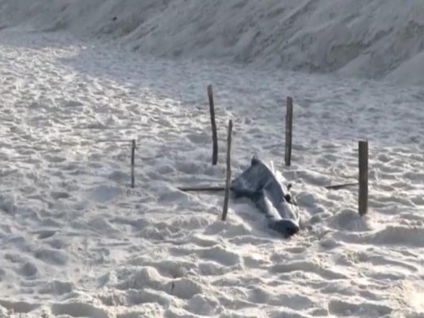 Restos humanos en Copacabana.