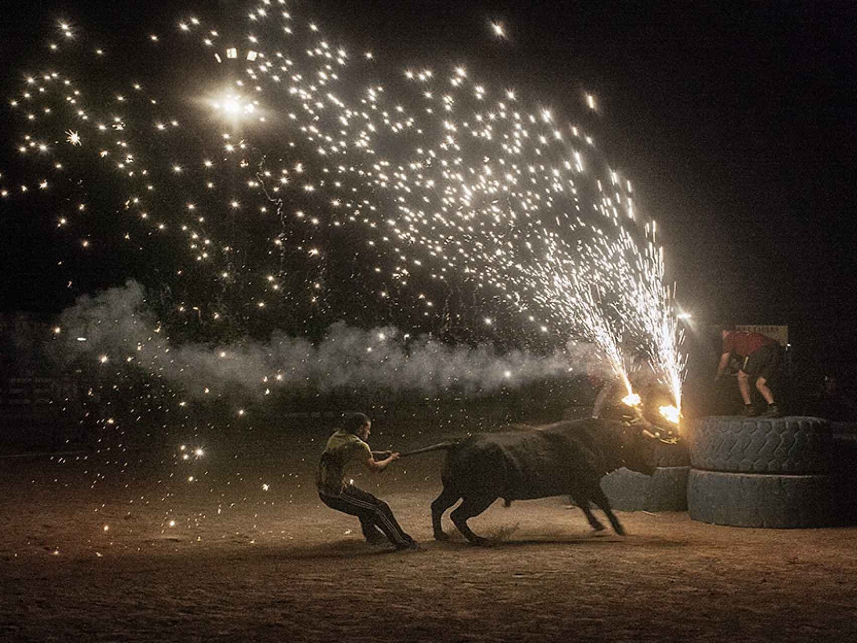 El documental Santa Fiesta denuncia el maltrato animal en los festejos.