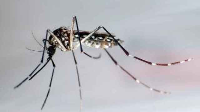 Río 2016 dará repelentes contra los mosquitos