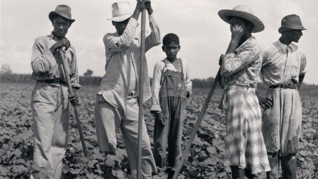 Image: El imperio del algodón. El rostro oculto de la civilización industrial