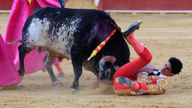 El torero Víctor Barrio, en el momento de la cornada.