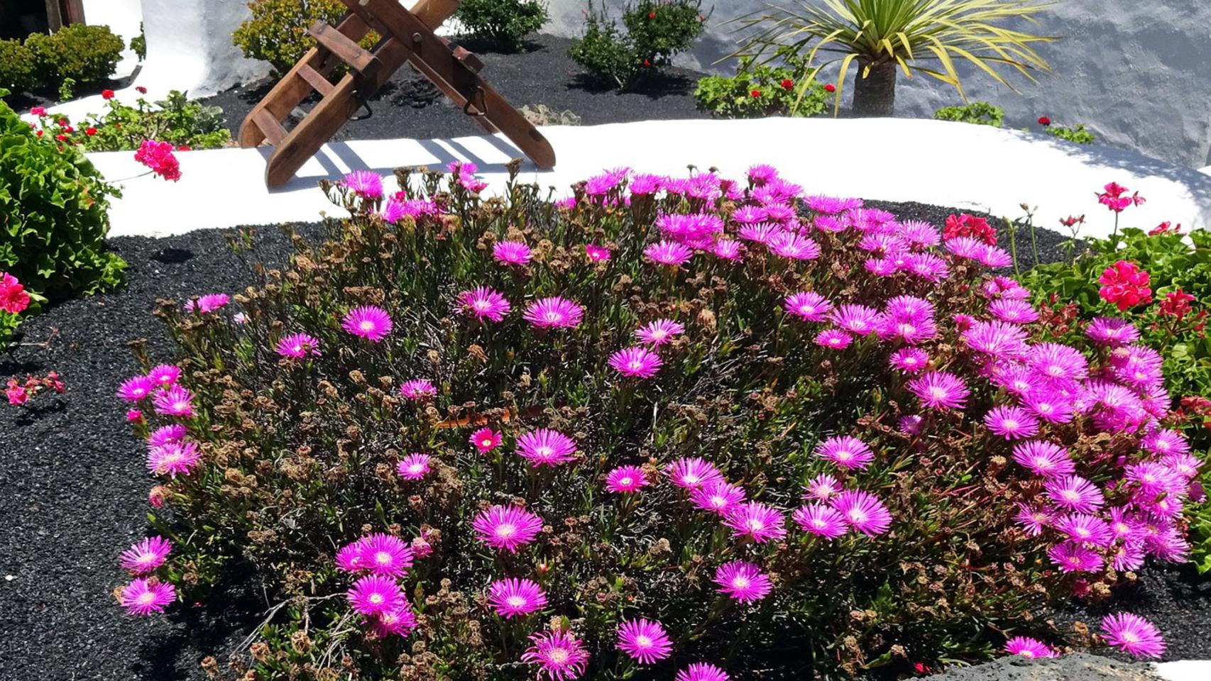 Las zonas con áridos deben tener una malla de geotextil debajo.