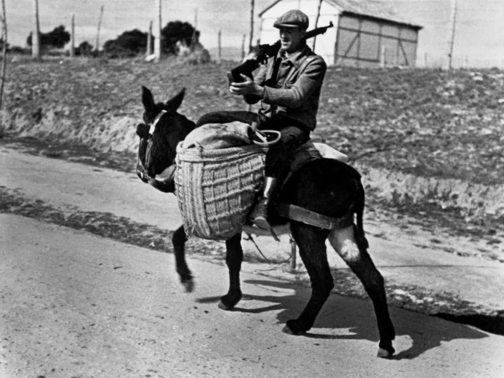 Un miliciano subido a un burro cerca de Madrid (1936)