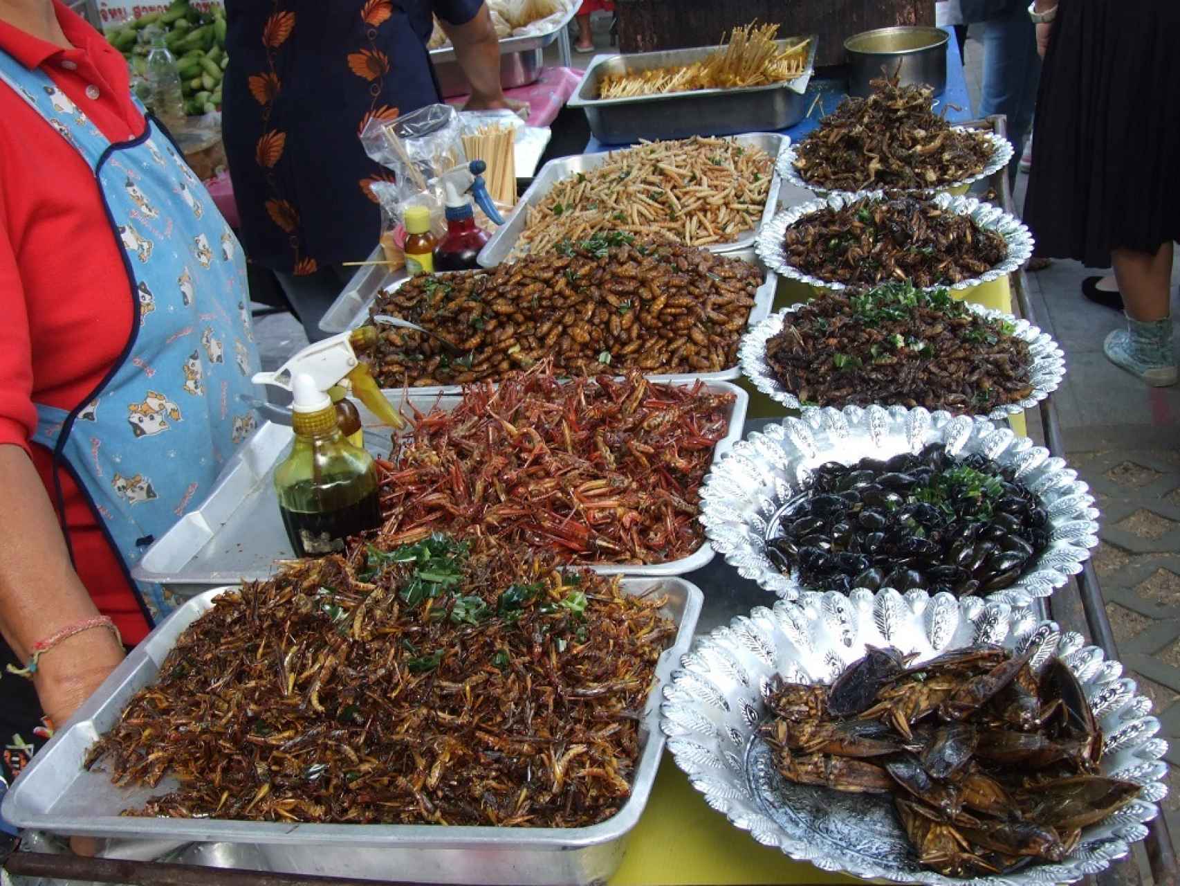 Mercado de insectos en Tailandia.