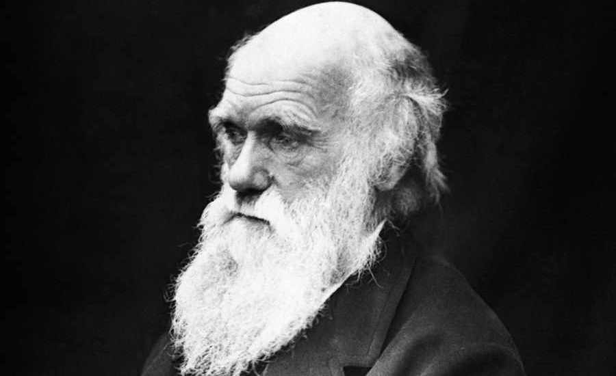 charles-darwin