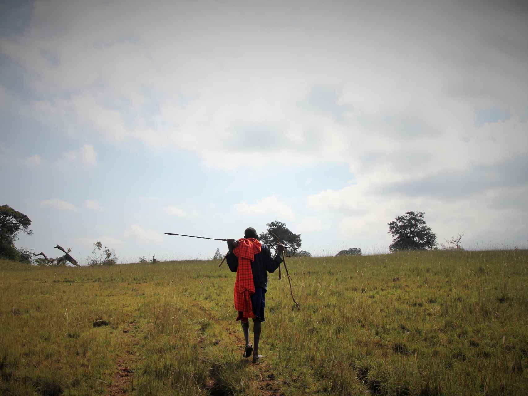Un guerrero masai camina por las montañas de Loita.