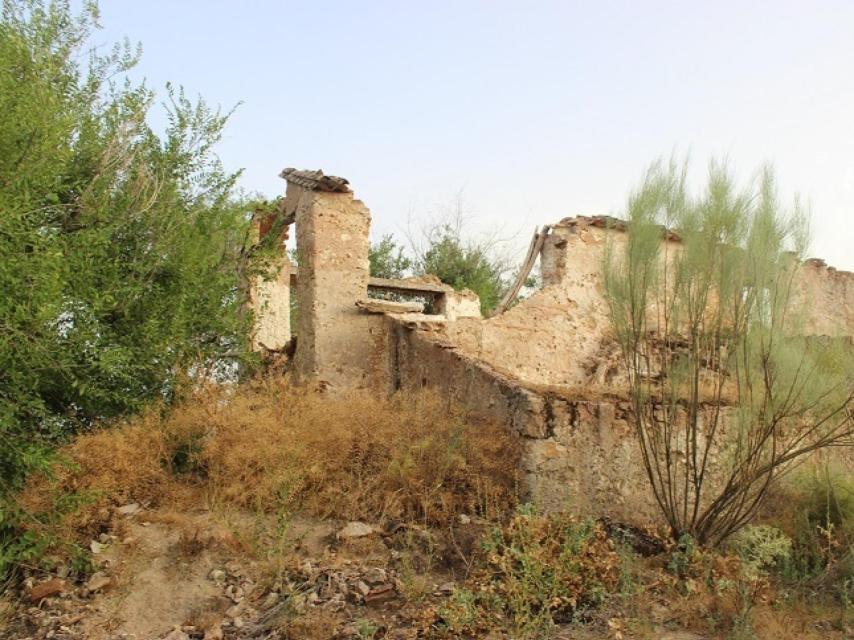 En el Cortijo de los Asombros se suicidaron todos sus moradores.