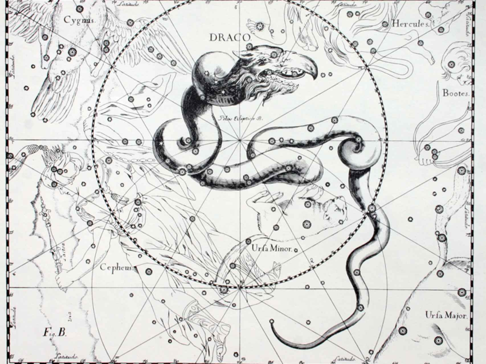 Dibujo de la constelación Dragón perteneciente a un catálogo celestial de 1690.