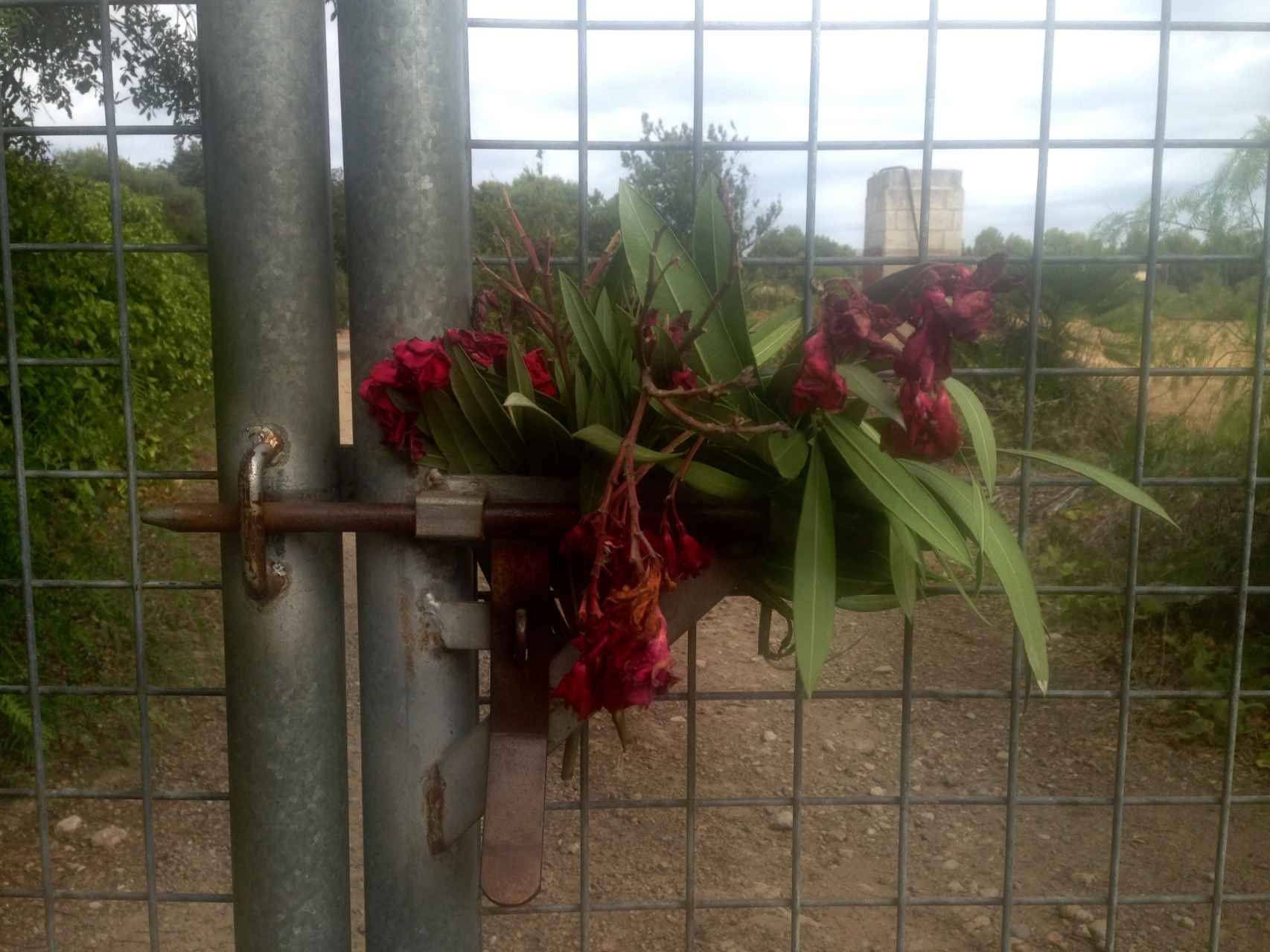 Las flores que recuerdan a Xue Sandra en la verja de entrada a su casa.