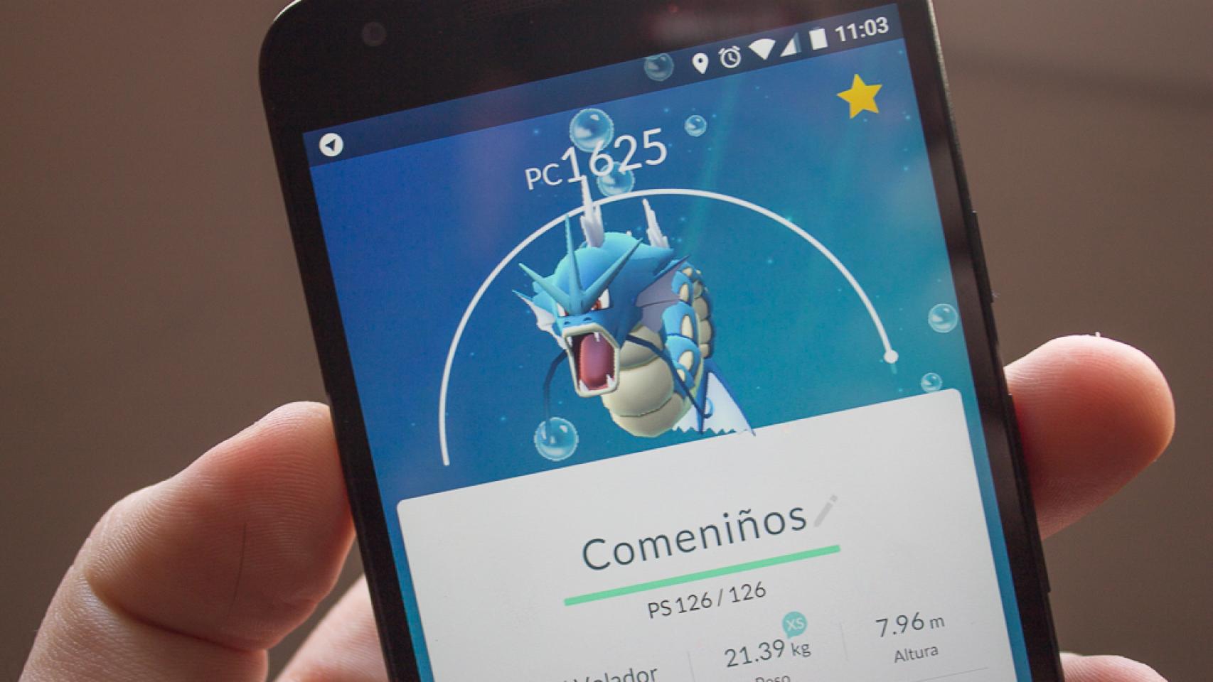 Esta calculadora te dice cómo de perfecto es tu Pokémon