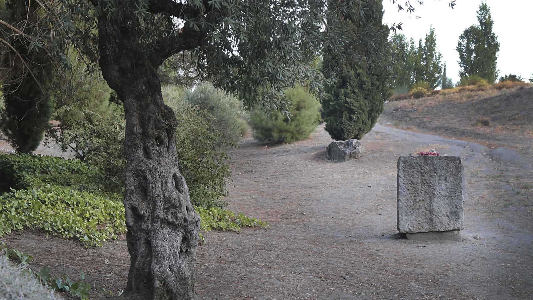 Terreno de Alfacar (Granada) donde creen que está la fosa común con los restos de García Lorca.