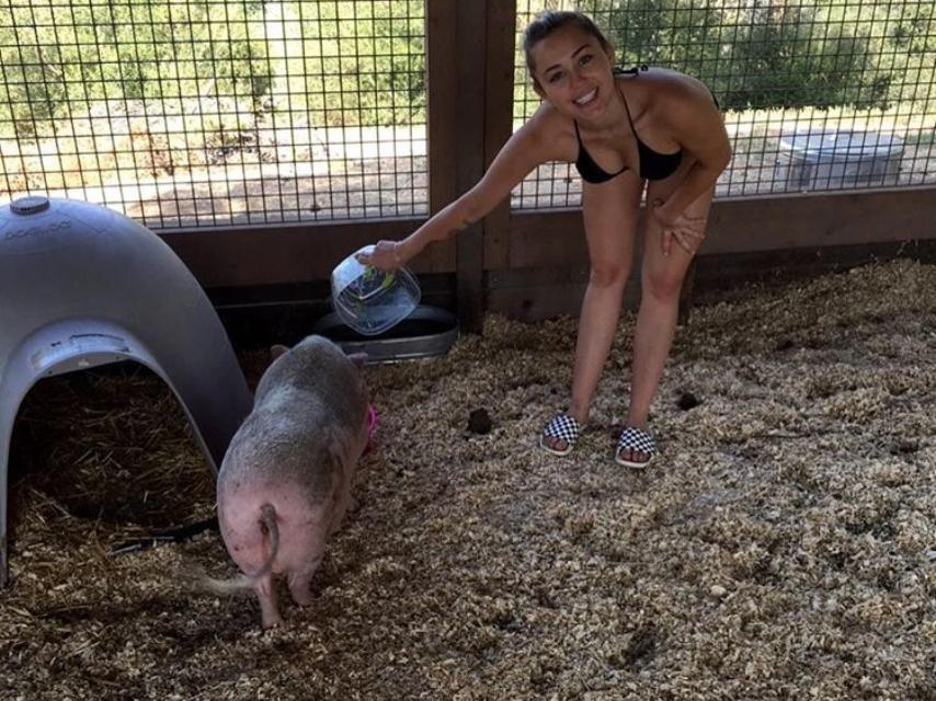 Miley Cyrus echando de comer a su mascota