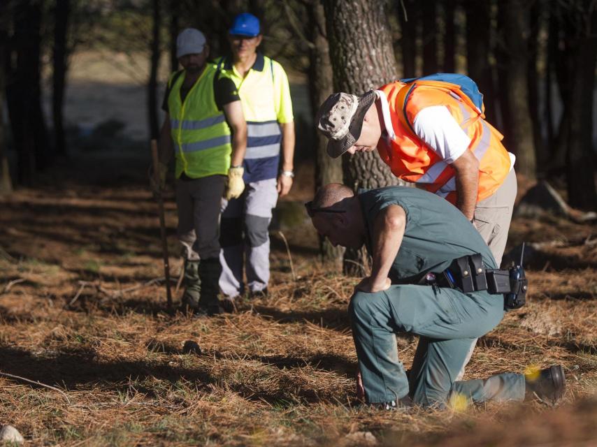 Rastreo en busca de Diana Quer en el monte de la Curota, en una imagen de archivo.