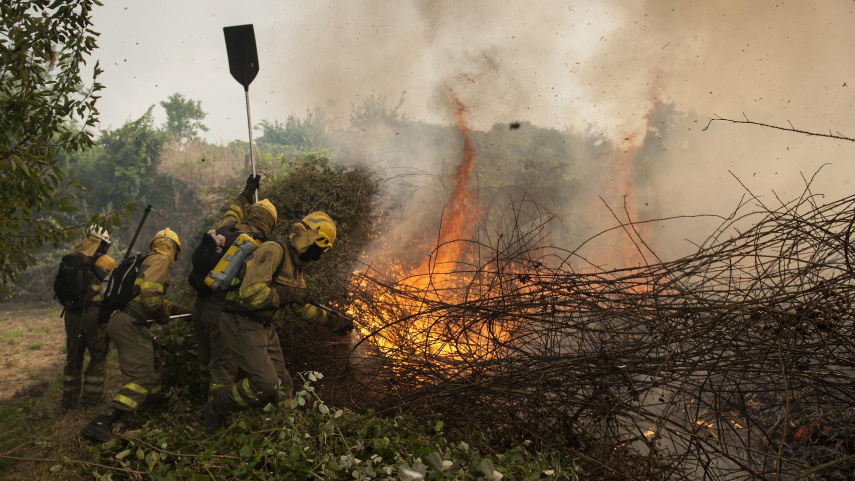 Imagen de archivo de un incendio forestal en Entrimo.