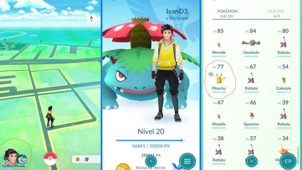 Compañero Pokémon a fondo: todos los secretos de lo último de Pokémon GO