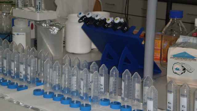 Tubos de muestras del laboratorio Parco Genetico de Cerdeña.