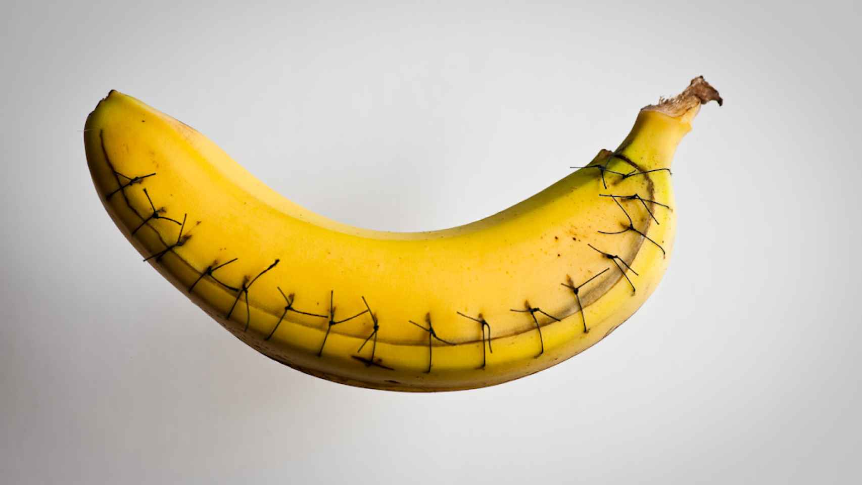 Plátano tras una intervención a vida o muerte.